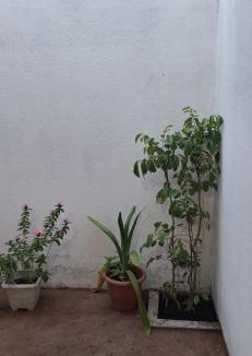 Santa Teresa House | Casa em Parnamirim próximo ao centro