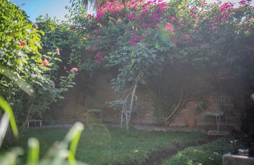 Godoy Cruz House | Casa Jade: A Bright and Cozy Home with a Garden