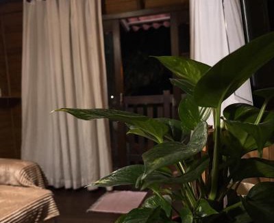 Laguna House | casa lagoa