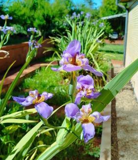 Itapua Department Apartment | Casa Las Aves