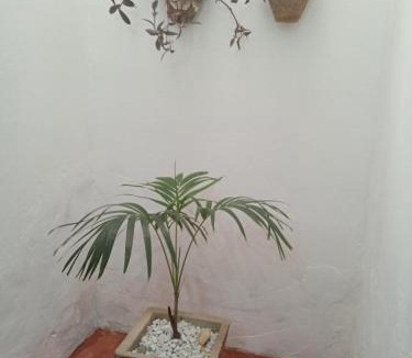 Camocim House | Casa MD