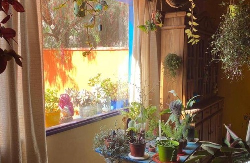 Maimara House | Casa Munay