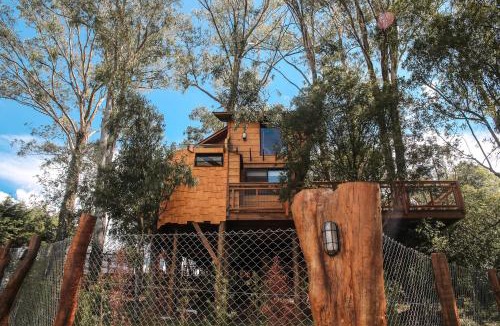 Farroupilha Villa | Casa na Árvore Aconchego Morada dos Vagalumes