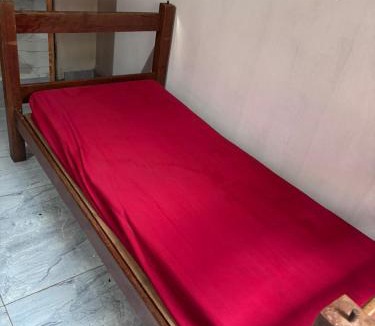 Alter do Chao House | Casa na Floresta