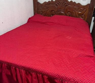 Alter do Chao House | Casa na Floresta