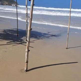 Santinho House | Casa na praia