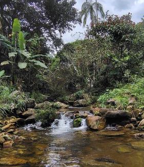 Mangaratiba House | Casa na Serra do Piloto com Piscina Natural