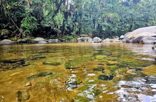 Cachoeiras de Macacu House | Casa na subida da Serra de Friburgo com Cachoeira
