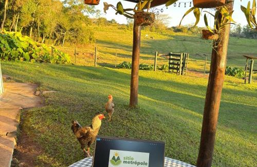Piraju House | Casa no campo - Biodiversidade e Preservação