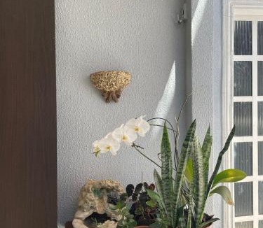Guara Apartment | Casa no Guara II Completa com Garagem no DF