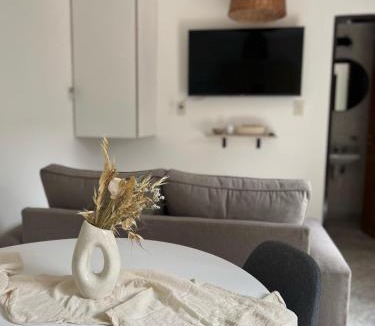 Tigre Apartment | Casa Orejas - Departamentos en Tigre Centro