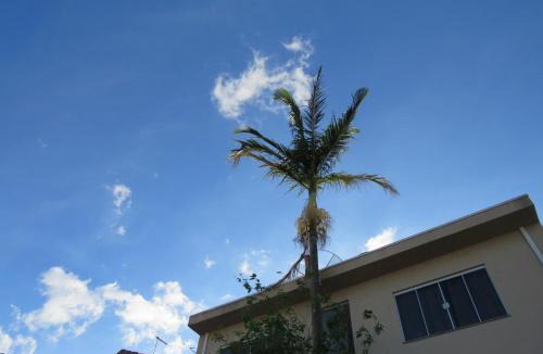 Regiao Urbana Homogenea XII House | Casa Paraíso com área Goumet Caipira