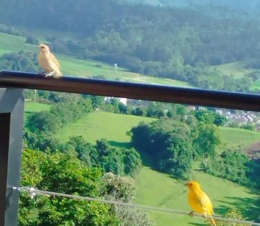Santa Clara do Sul House | Casa refúgio na Vila Tekohá vista acima das nuvens