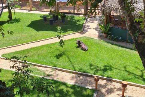 Alter do Chao House | Casa Saimiri