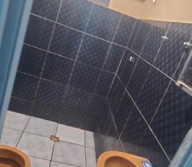 Nova Campo Grande House | Casa simples inteira com árvore e rede perto do Aeroporto de CG