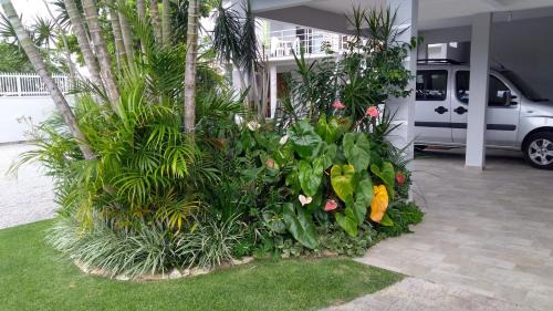 Cachoeira do Bom Jesus House | Casas Adilio Florianopolis-norte