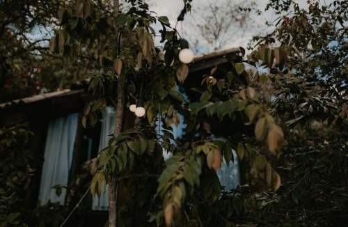 Lago Norte House | Casas Lago Paranoá