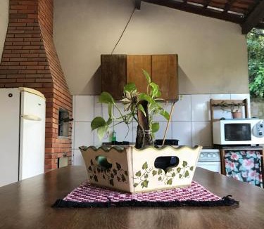 Mariscal House | Casinha da praia