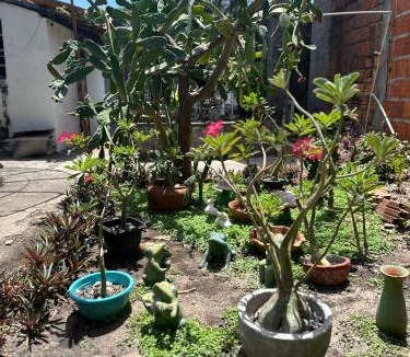 Tutoia House | Casinha da vovó