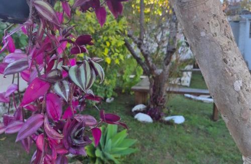 Passa Quatro House | Casinha Verde