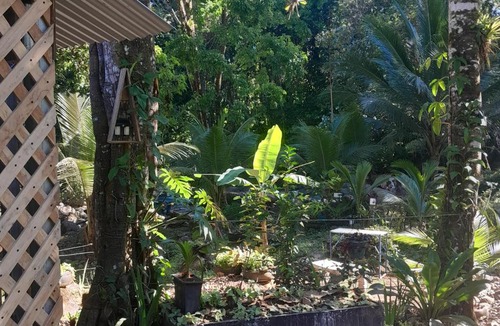 Katira House | cataleya spring cabins