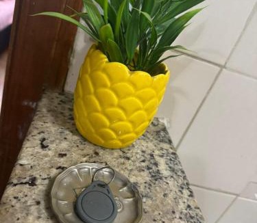 Centro Apartment | Centro, apto inteiro, rua São Paulo com Afonso Pena