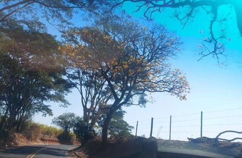 Monte Alto Other | Chácara aconchegante em Ibitirama