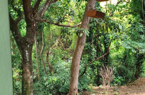 Andradas House | Chácara Angola