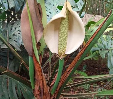 Viamao House | Chácara das Flores