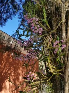 Braganca Paulista House | Chácara Recanto da Amizade em Bragança Paulista