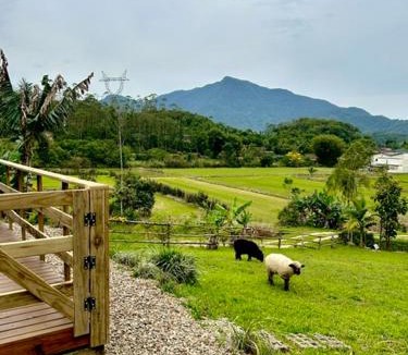 Braco do Sul Ski Chalet | Chalé aconchegante em madeira