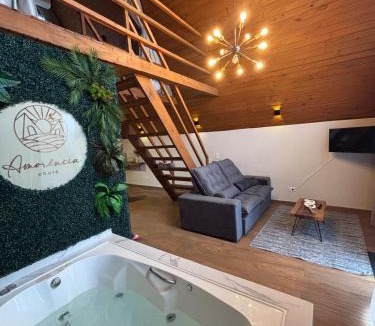 Campo Largo Ski Chalet | Chalé Amorência