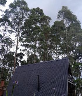 Sao Francisco Xavier Ski Chalet | Chalé da Mantiqueira SFX , Pet friendly