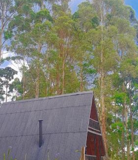 Sao Francisco Xavier Ski Chalet | Chalé da Mantiqueira SFX , Pet friendly