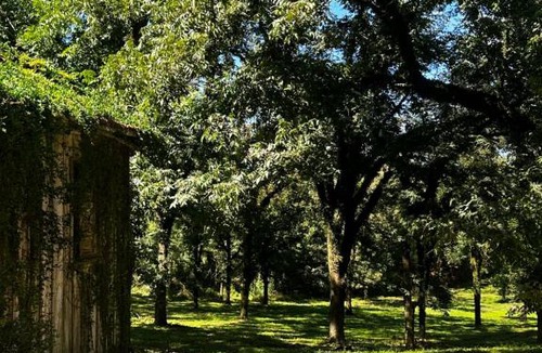 Anta Gorda Other | Chalé Da Pecan