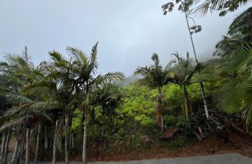 Massaranduba Other | Chalé das pedras