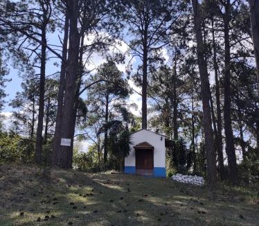 Aracariguama Cabin | Chalé em São Roque - Sítio dos Pinheiros