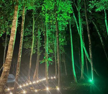 Manaus Ski Chalet | Chalé Maloca Premium