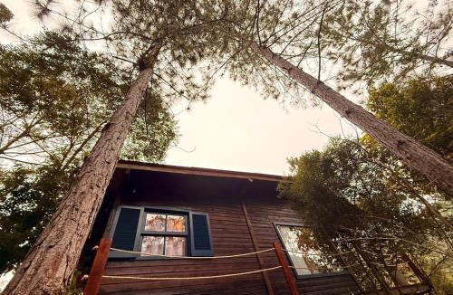 Camboriu Ski Chalet | Chalé Matas de Camboriú