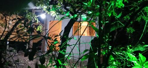 Sao Jorge House | Chalé Refúgio na Natureza