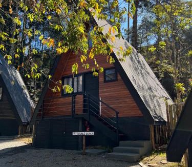 Campos do Jordao Ski Chalet | Chalé Villa Nature