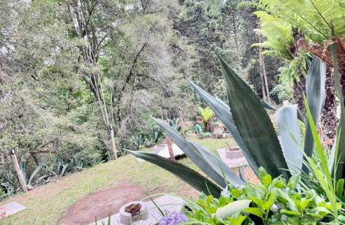 Campos do Jordao Cabin | Chalés Duquesa do Vale