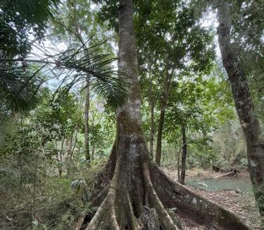 Bonito Other | Chalés Pocoó com acesso ao rio