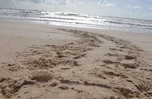 Estancia Ski Chalet | Chale on Nordeste beach (Sergipe coast: Saco beach, Mangue Seco)