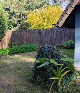 Bosque Peralta Ramos House | Chalet para 7 en Mar del Plata con parque y parrilla