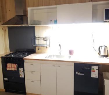 Lanin National Park Apartment | Chapa atrás - SalePatagonia
