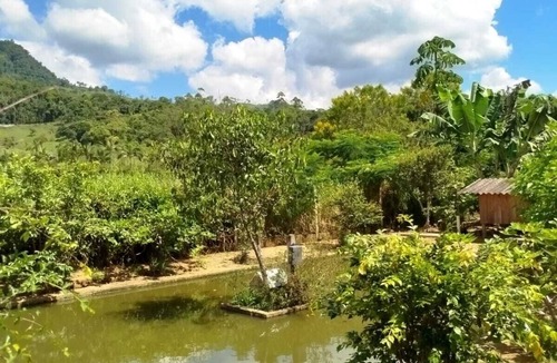 Jaragua 84 House | Complete chalet for family accommodation, close to the Park and Pico da Malwee