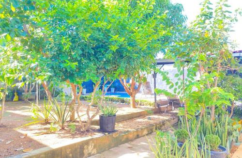 Palmas House | Conforto e Lazer em Família