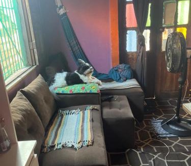 Guama House | Cop 30