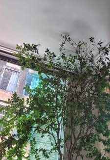 Souza Apartment | COP30 Apart próximo